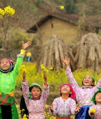 mùa hoa cải vàng hà giang