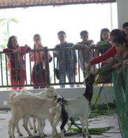 nông trại dê trắng detrang farm