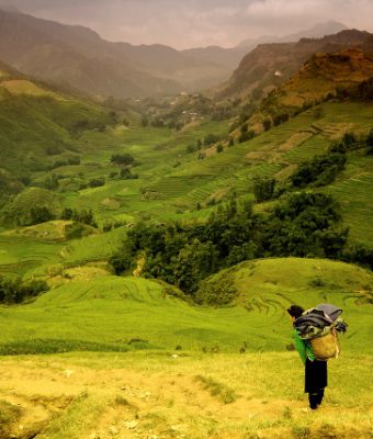 ruộng bậc thang sapa