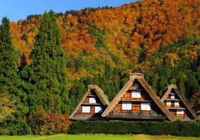 Những địa điểm lý tưởng ngắm mùa thu Nhật Bản
