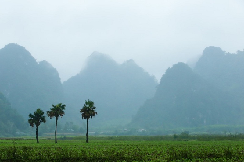 hồ yên phú