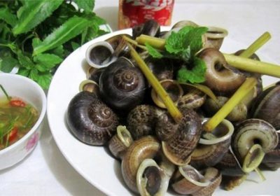 Đặc Sản Mộc Châu: Top Món Ngon Khiến Bạn Muốn Quay Lại Ngay
