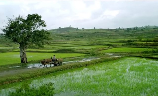 phu yen 4