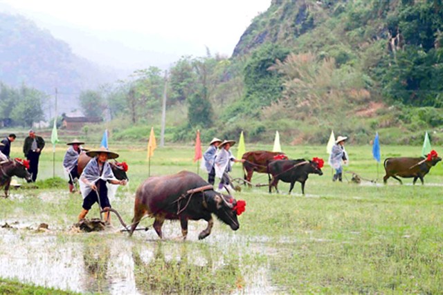 Lễ hội xuống đồng ở Quảng Yên (Quảng Ninh)